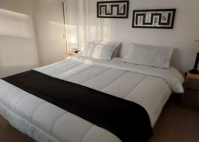 Agradable Y Calido Departamento